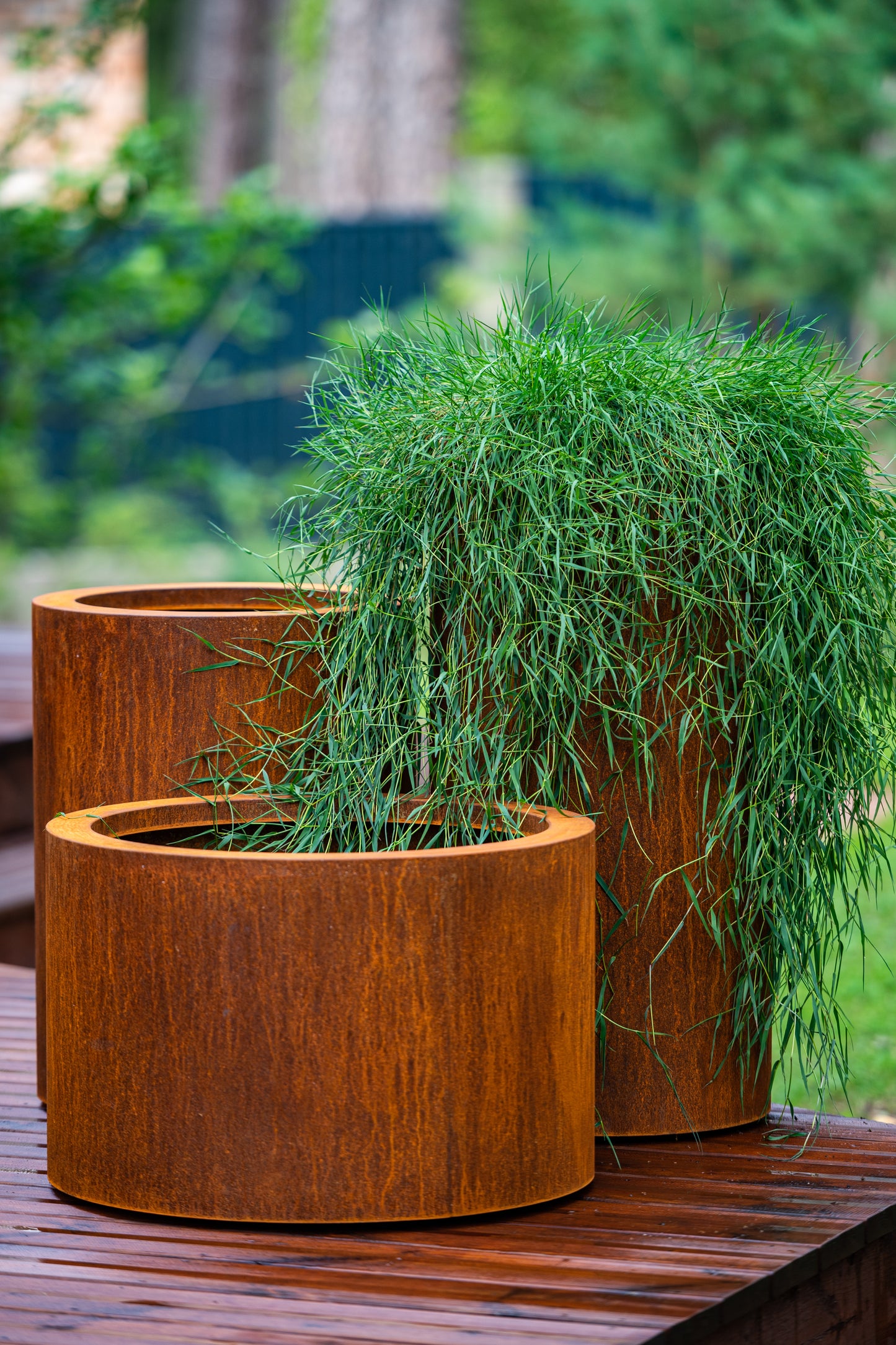 Cylindrical planters